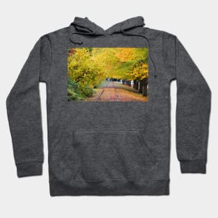 The Tracks Hoodie